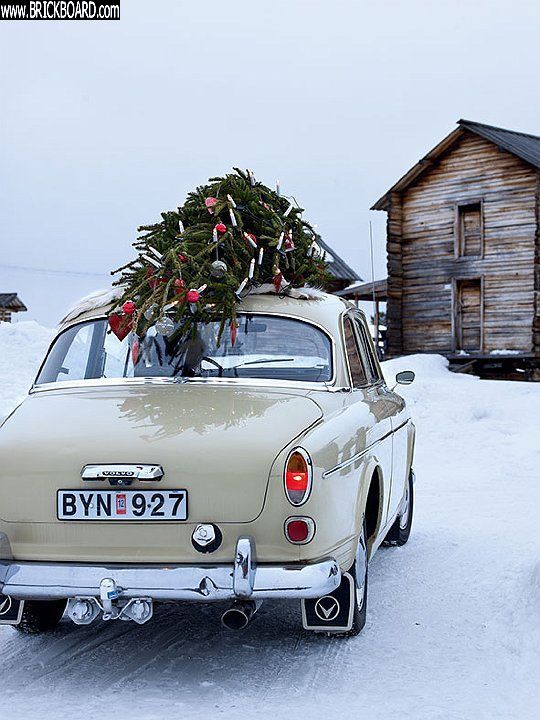 Volvo 120-130 -- Amazon Christmas