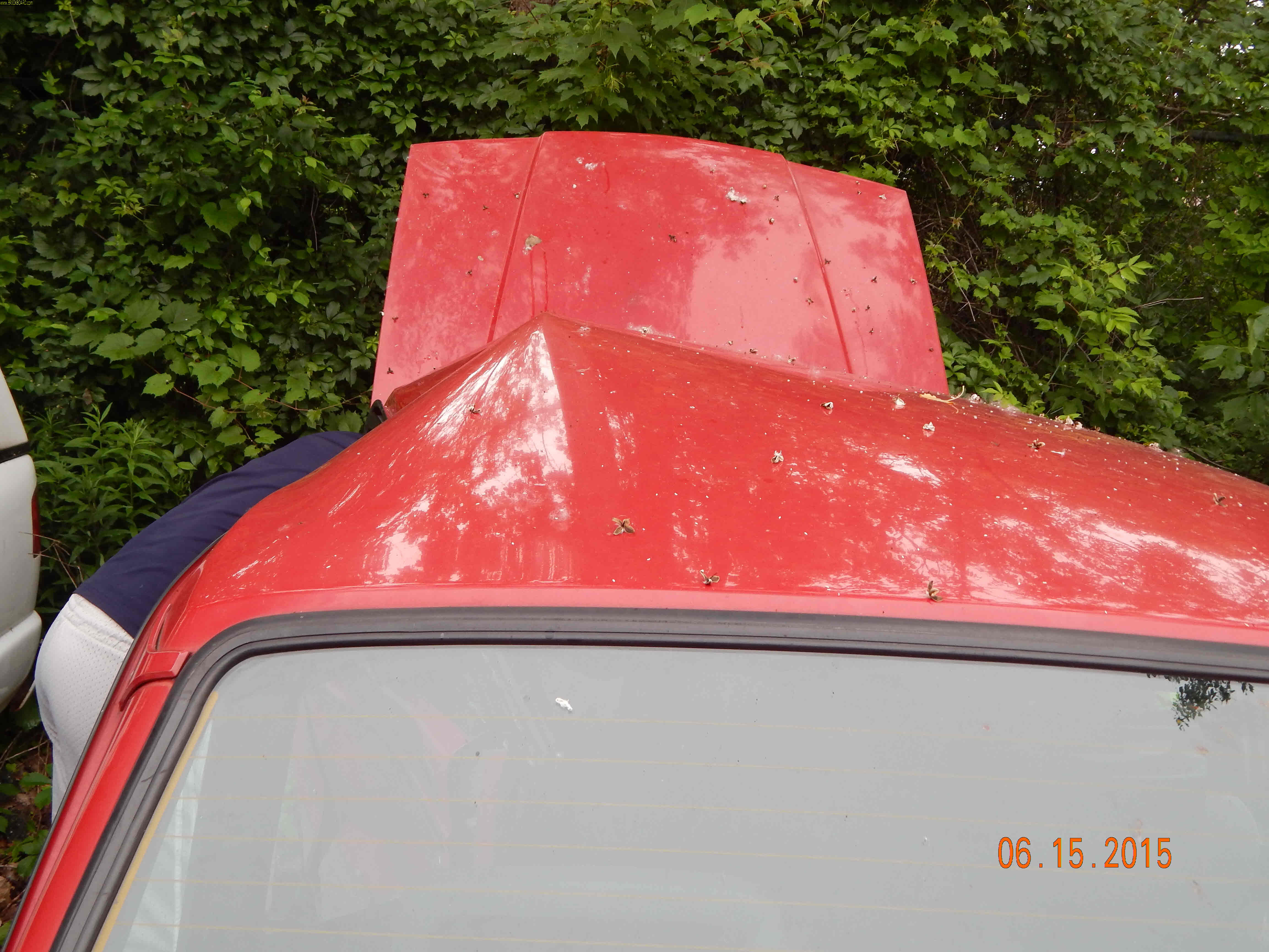Volvo 200 -- CRASH PHOTOS. 1992 240 "Bandit